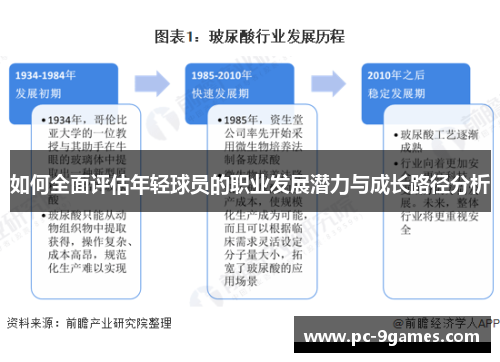 如何全面评估年轻球员的职业发展潜力与成长路径分析