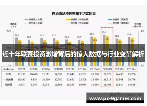 近十年联赛投资激增背后的惊人数据与行业变革解析