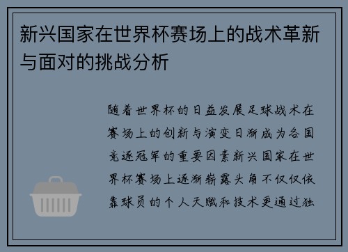新兴国家在世界杯赛场上的战术革新与面对的挑战分析