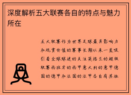 深度解析五大联赛各自的特点与魅力所在